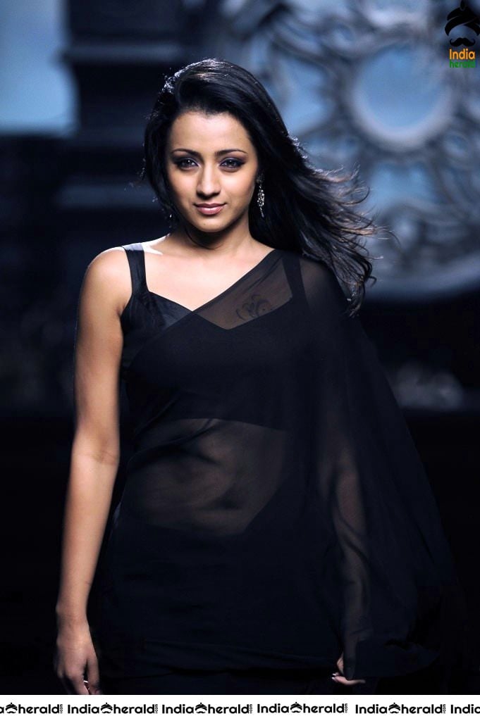 Trisha Hot Photos flaunting her Deep Navel in Saree and Sleeveless Blouse Set 2