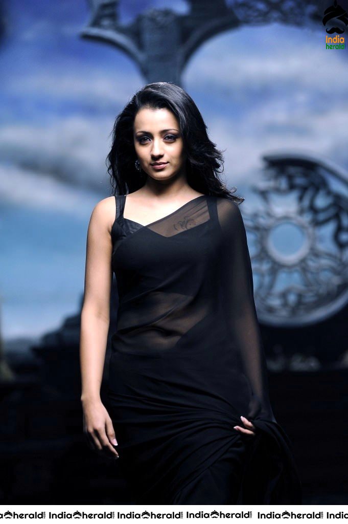 Trisha Hot Photos flaunting her Deep Navel in Saree and Sleeveless Blouse Set 2