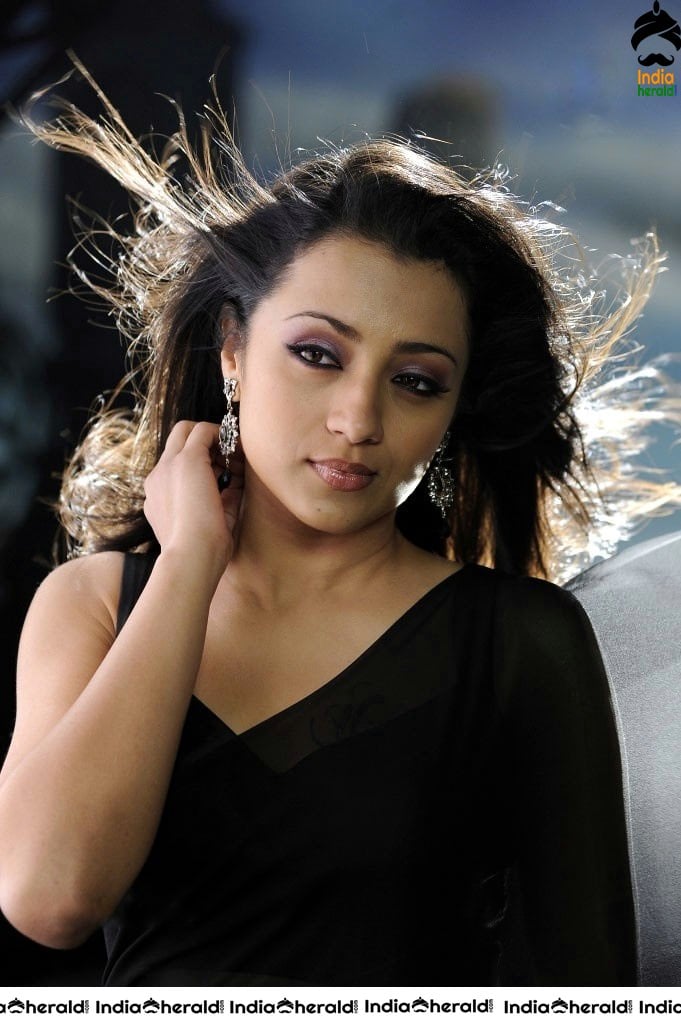 Trisha Hot Photos flaunting her Deep Navel in Saree and Sleeveless Blouse Set 2