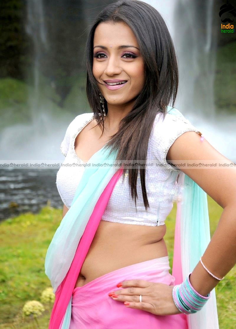 Trisha Hot Photos in Saree exposing her Fleshy Stomach and Deep Navel Set 1