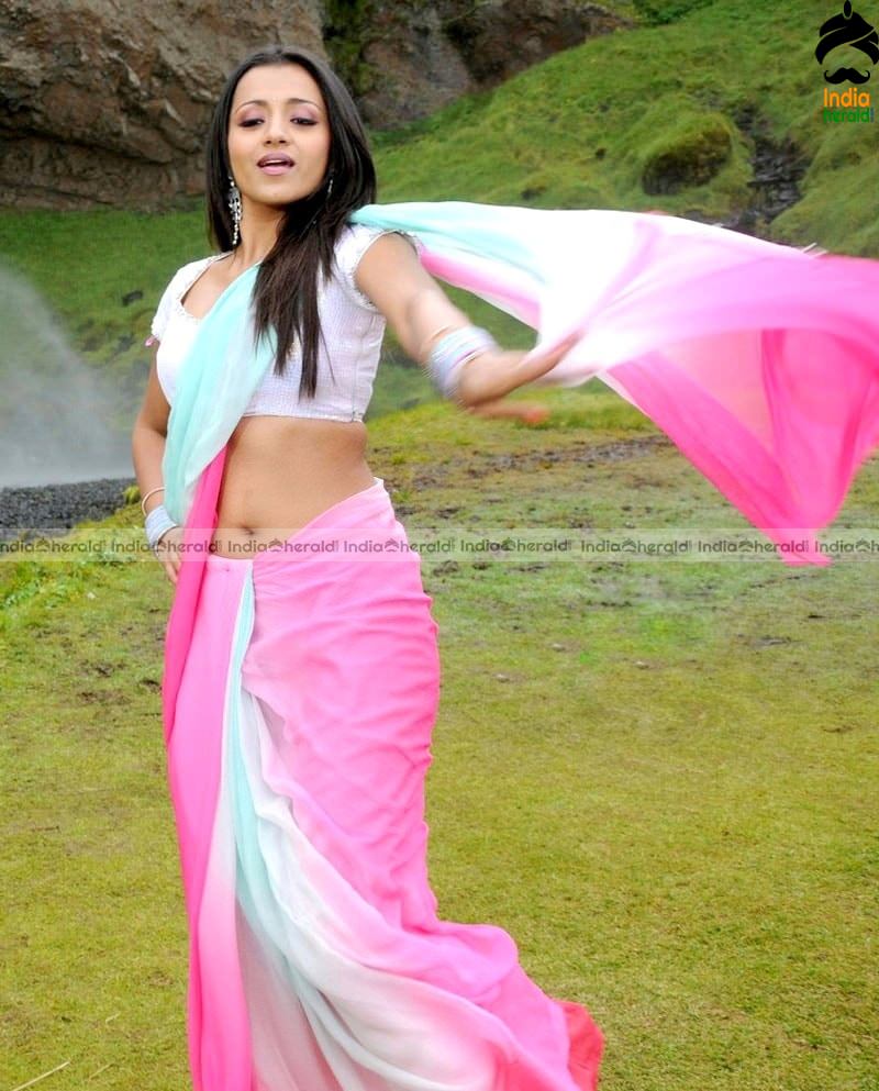Trisha Hot Photos in Saree exposing her Fleshy Stomach and Deep Navel Set 2