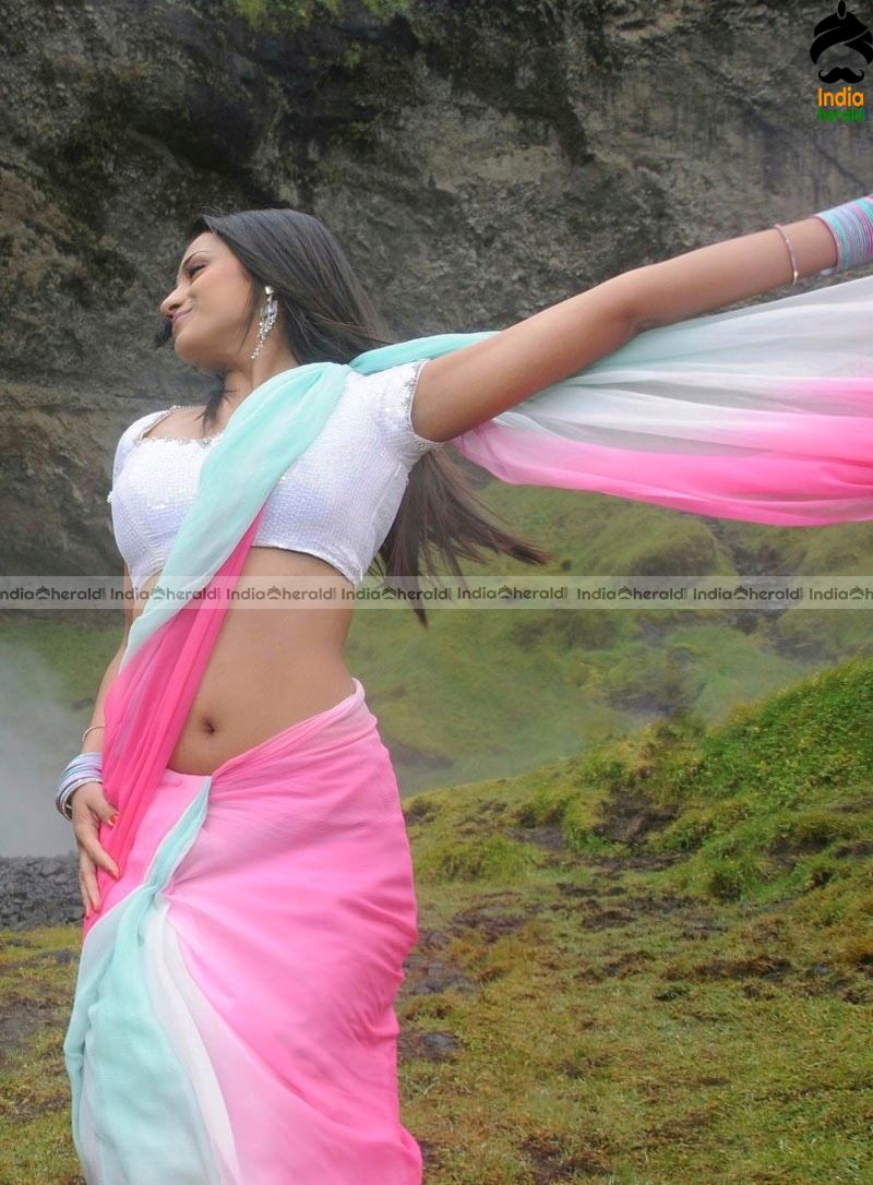 Trisha Hot Photos in Saree exposing her Fleshy Stomach and Deep Navel Set 3