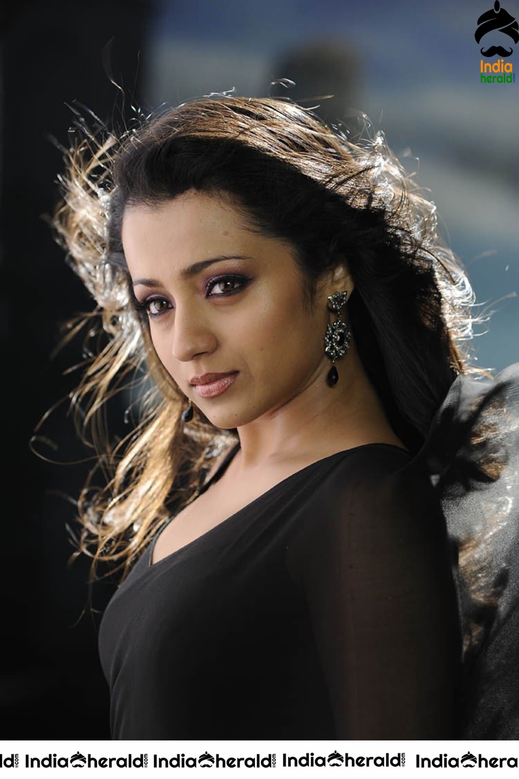 Trisha Hot Seducing Photos in Black Transparent Saree Set 1