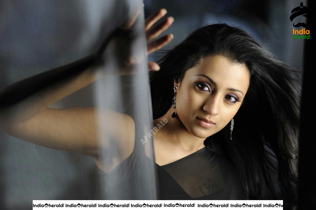 Trisha Hot Stills In Black Transparent Saree Set 2