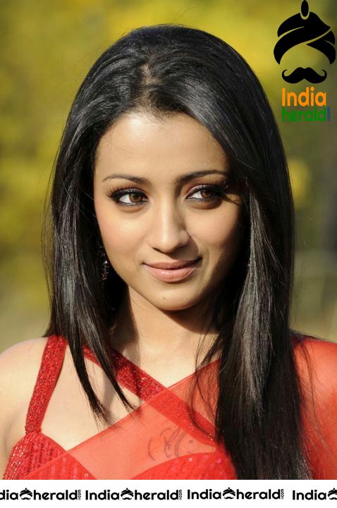 Trisha Red Hot Mood Erecting Photos where she exposes her tempting waist and navel Set 2