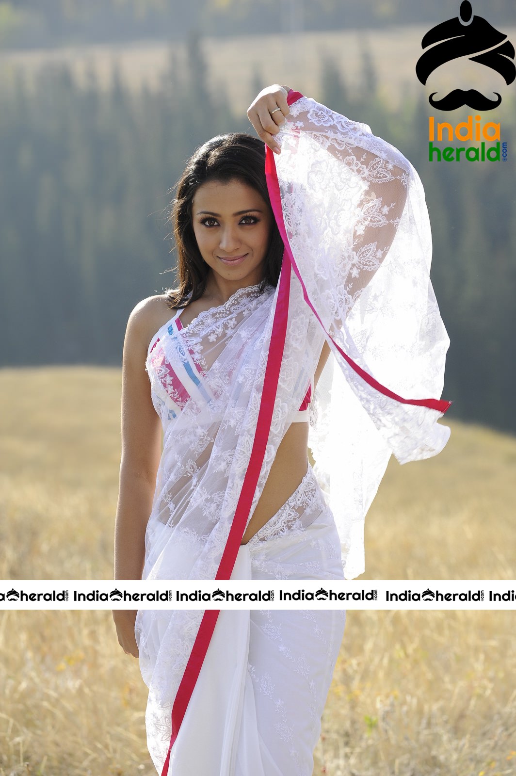 Trisha Showing Her Tempting Hot Waist And Deep Navel In White Transparent Saree Set 2