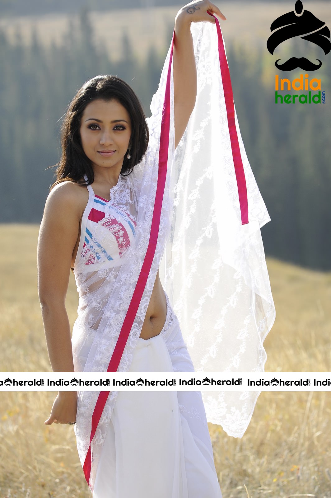 Trisha Showing Her Tempting Hot Waist And Deep Navel In White Transparent Saree Set 2