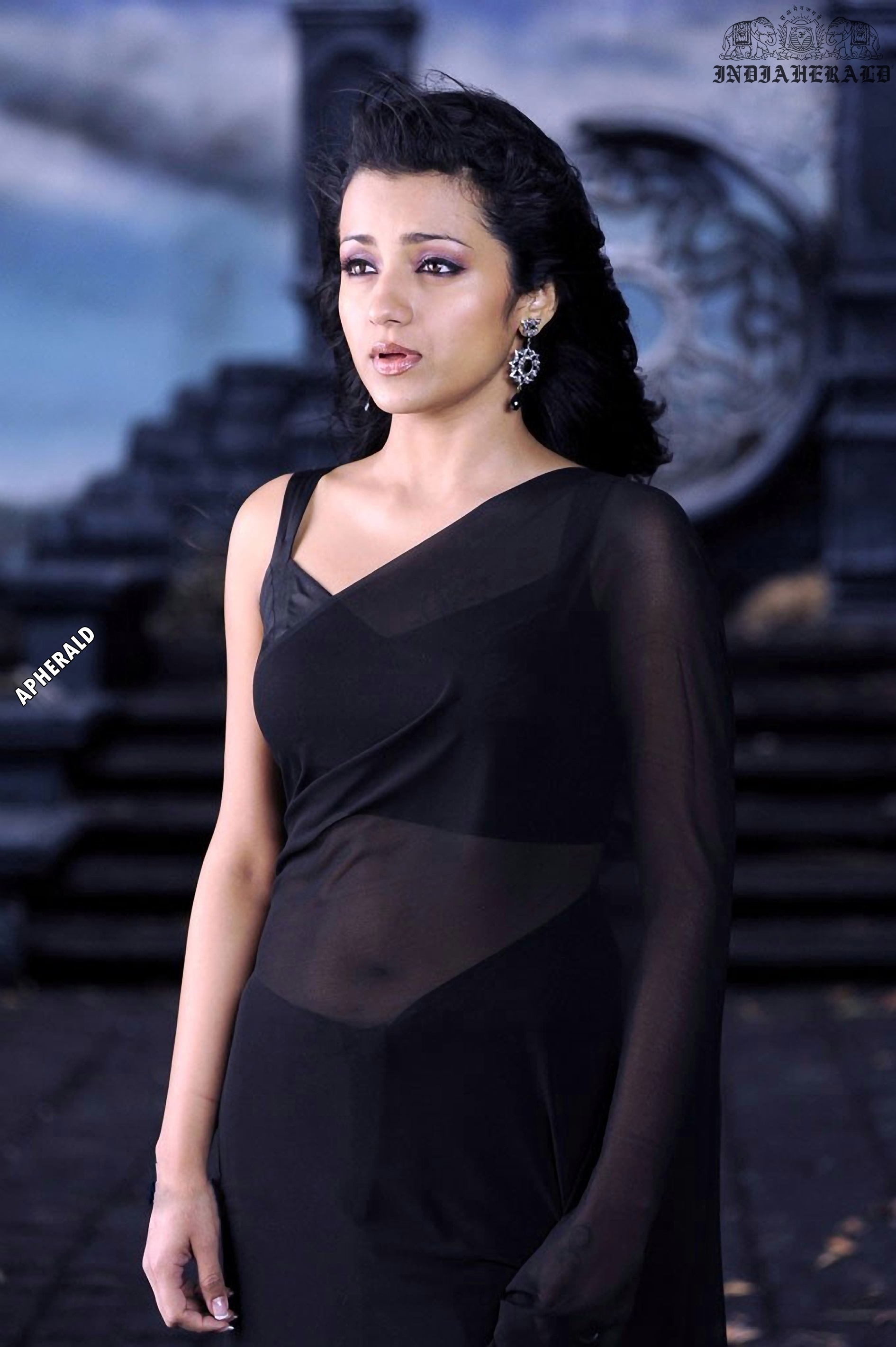 Trisha tempts our mood by exposing her navel and waist in Black transparent saree