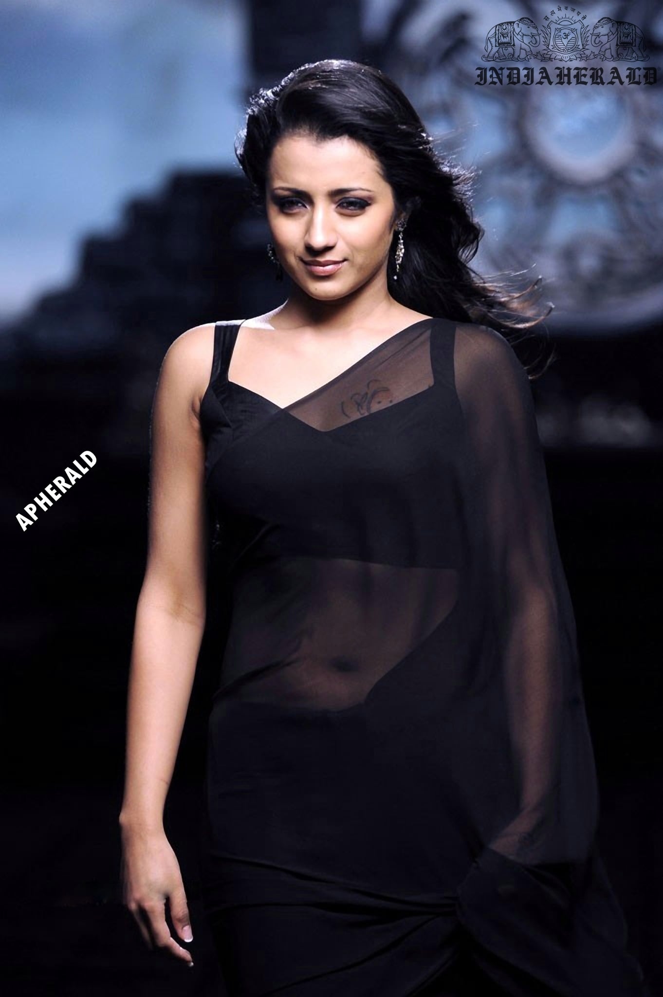 Trisha tempts our mood by exposing her navel and waist in Black transparent saree