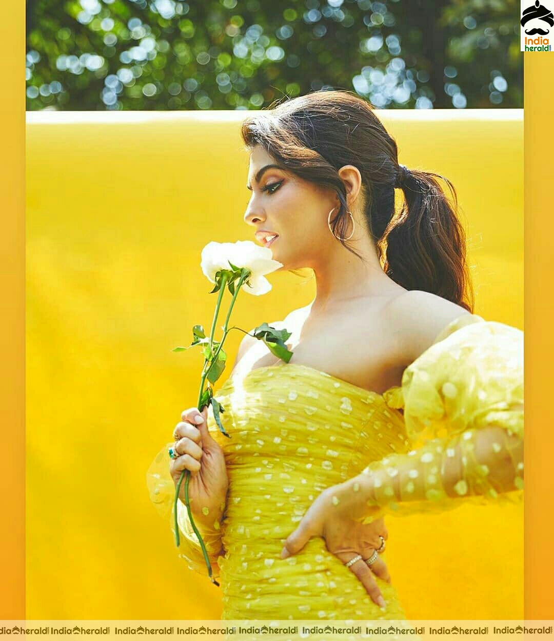 Urvashi Rautela Hot And Glam Pretty Yellow Dress Stills
