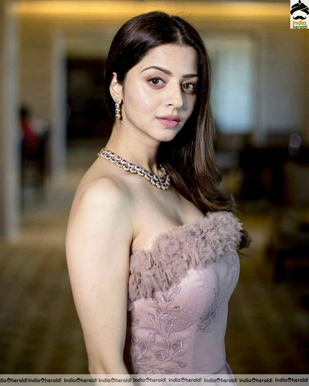 Vedhika Hot And Cute Clicks