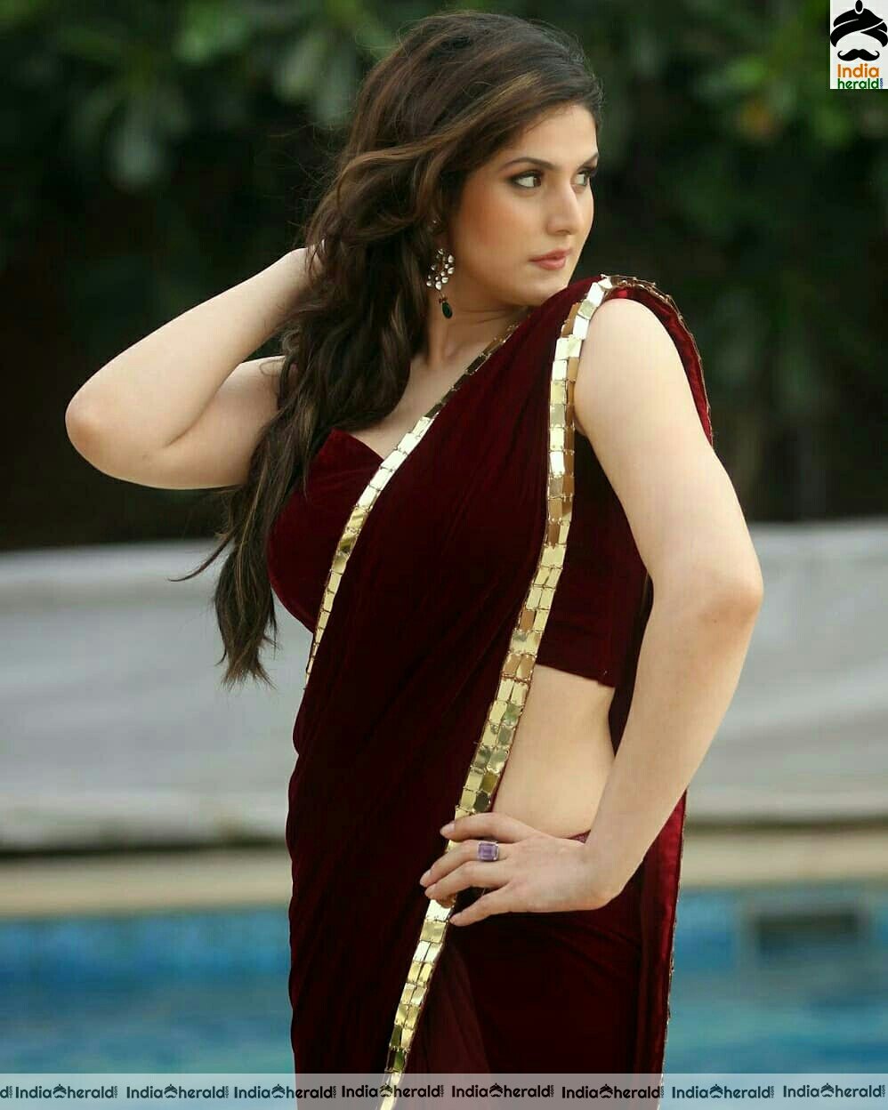 Zarine Khan shows her hot curves in saree