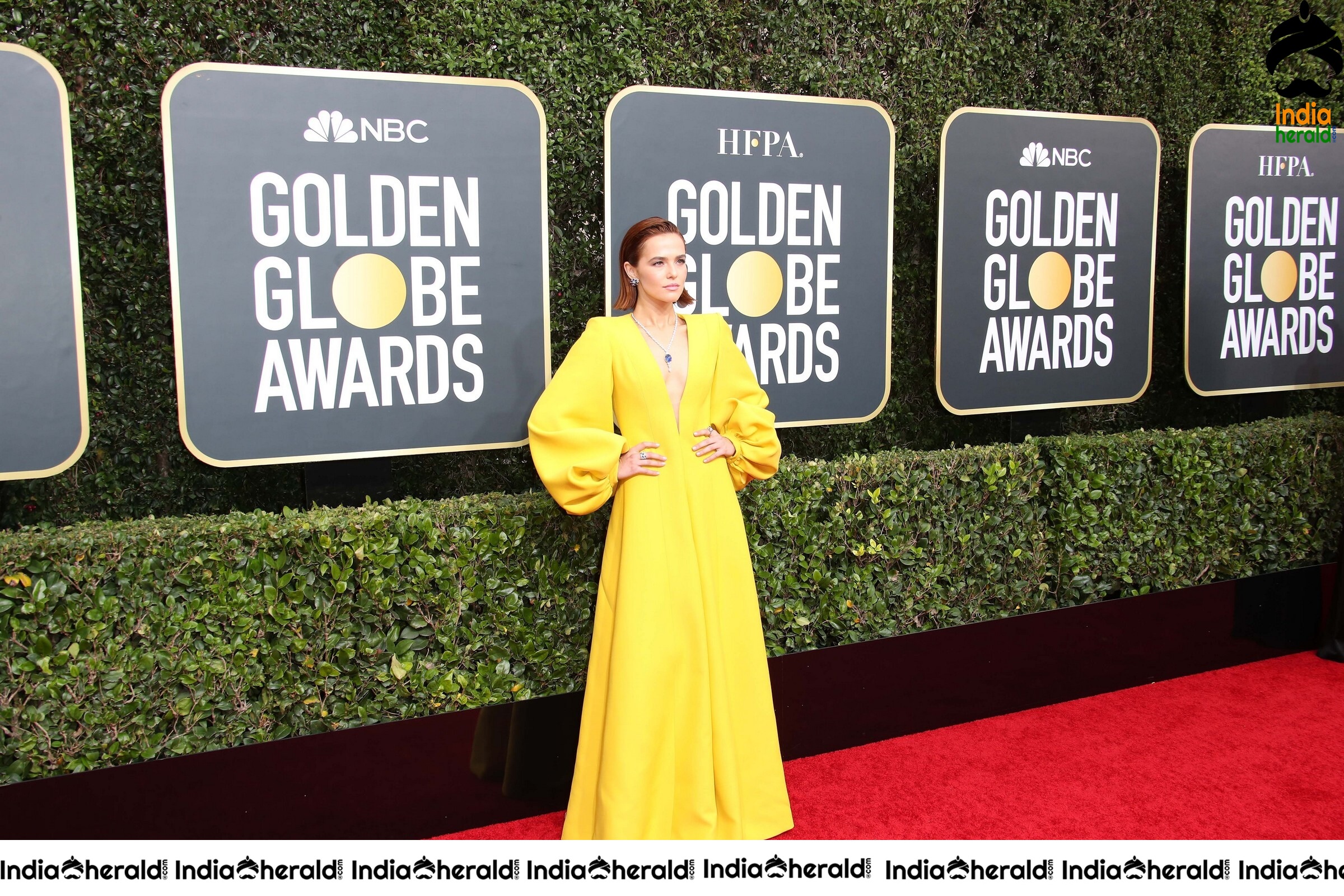 Zoey Deutch at 77th Annual Golden Globe Awards in Beverly Hills Set 2