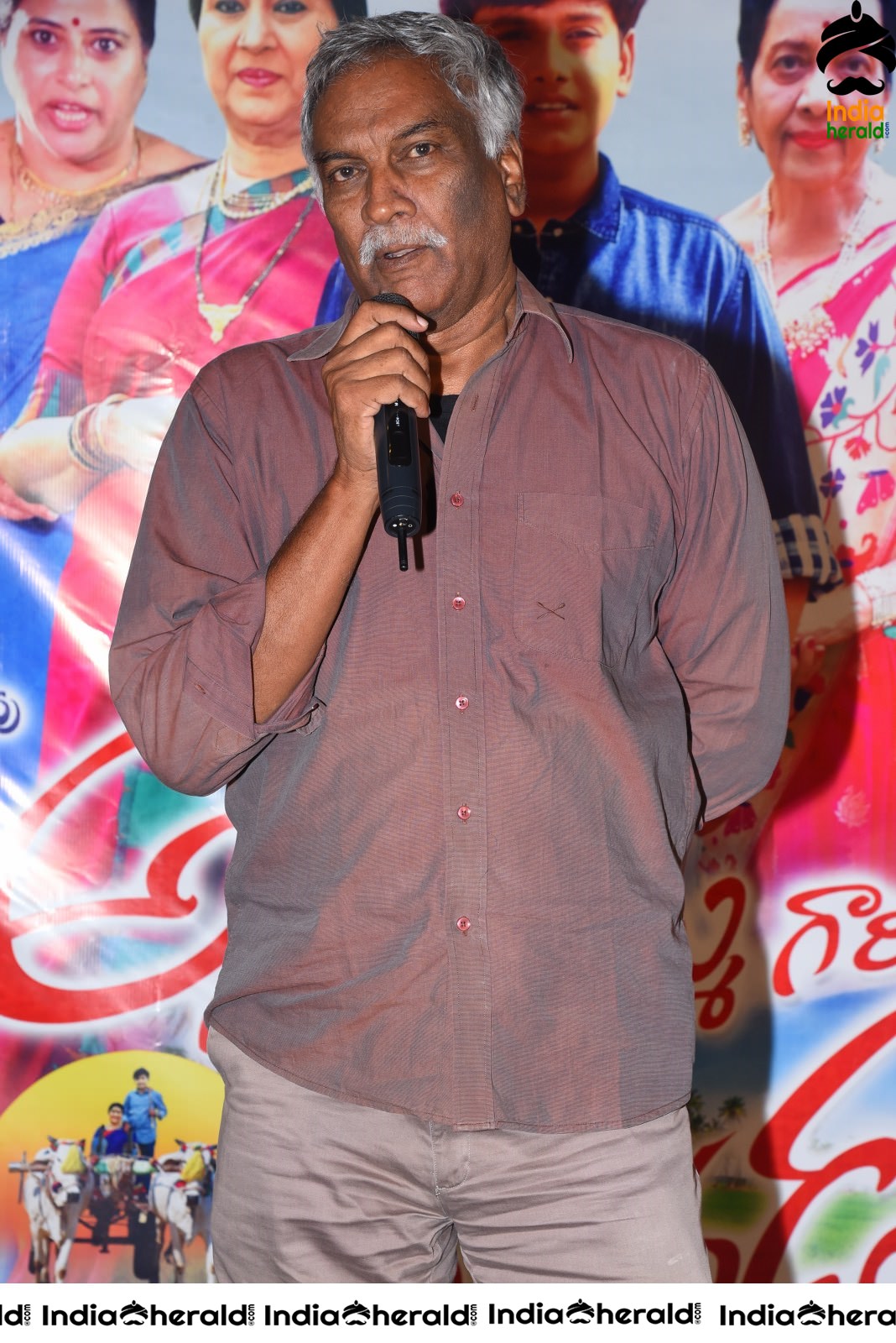 Annapurnamma Gari Manavadu Movie Audio Launch Set 2