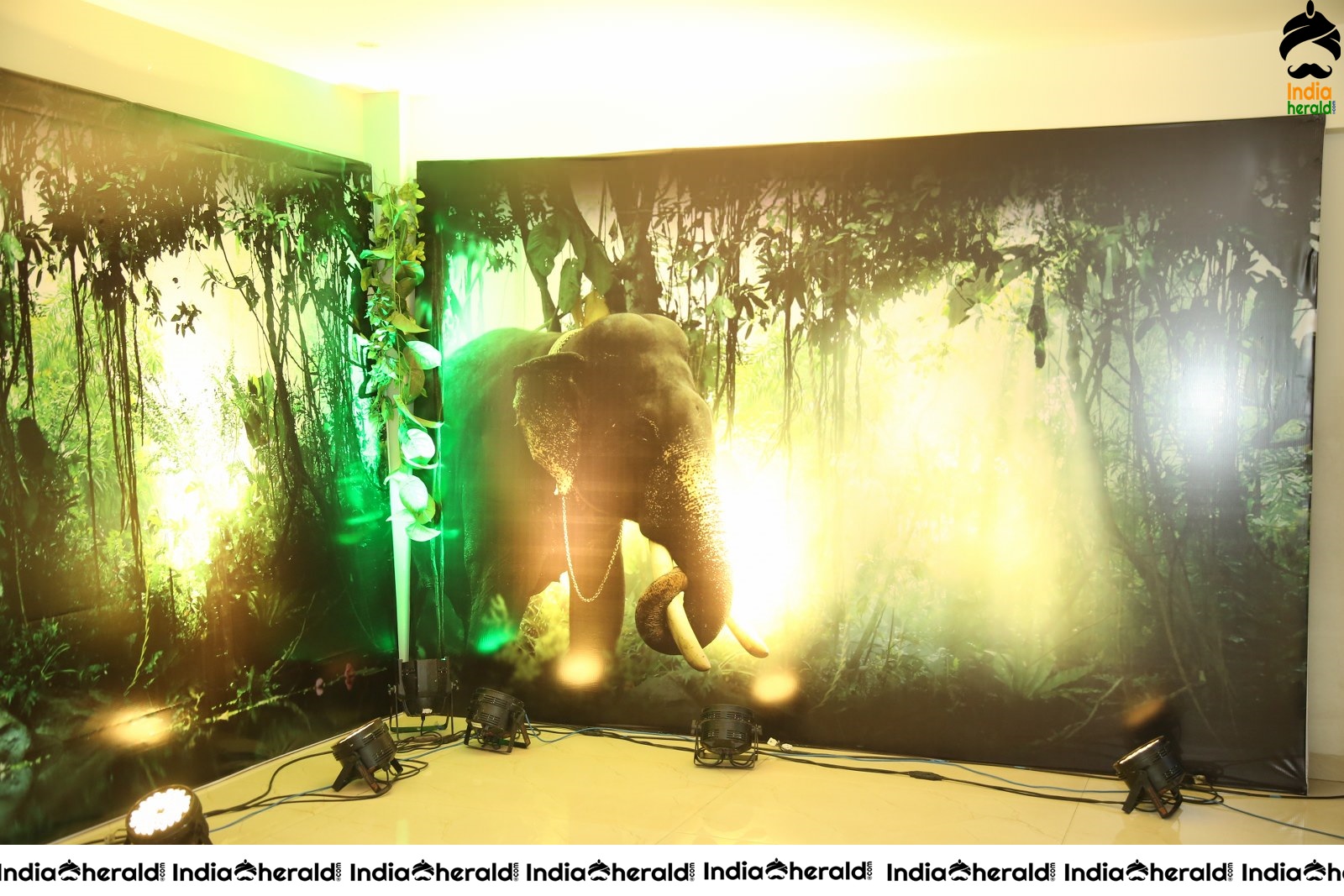 Aranya Movie Teaser Launch Photos Set 2