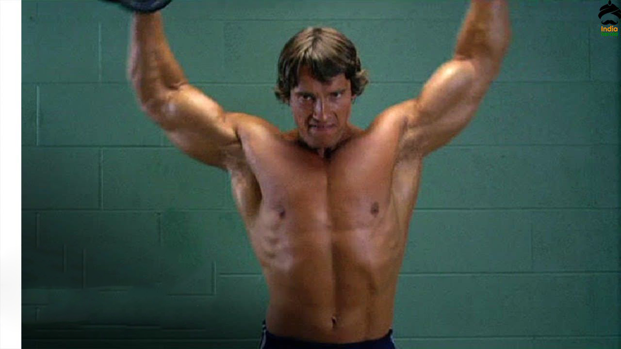 Arnold Schwarzenegger is Back as Terminator