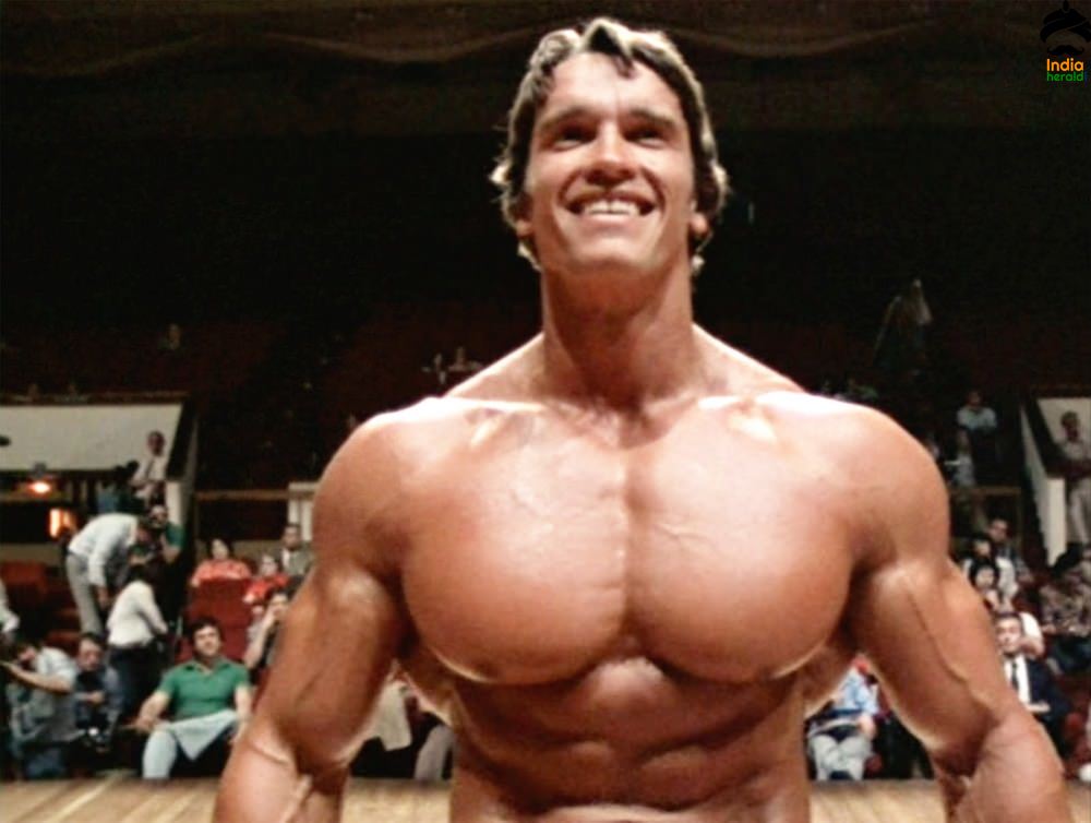 Arnold Schwarzenegger is Back as Terminator