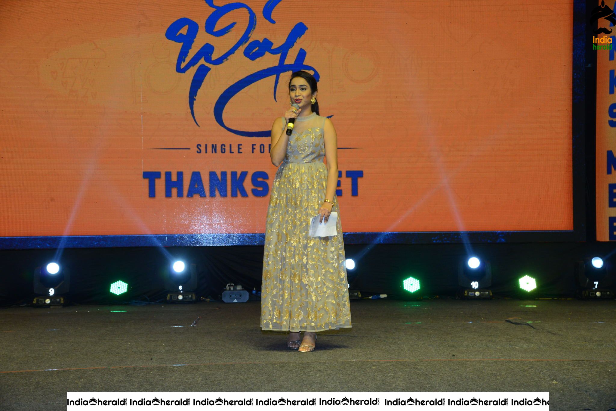 Bheeshma Movie Thanks Meet Event Stills Set 1