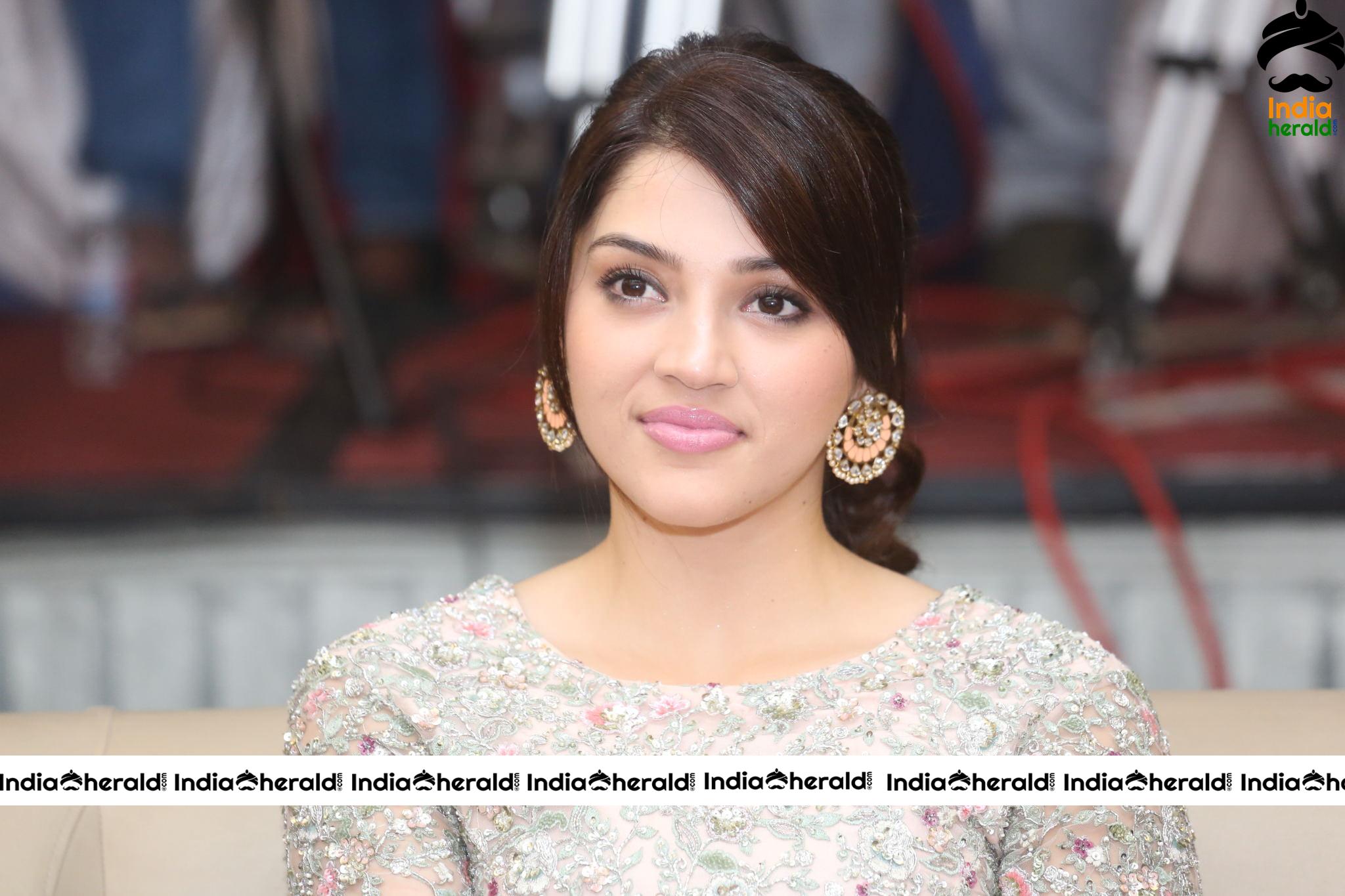 Chanakya Movie Trailer Launch Stills Set 1