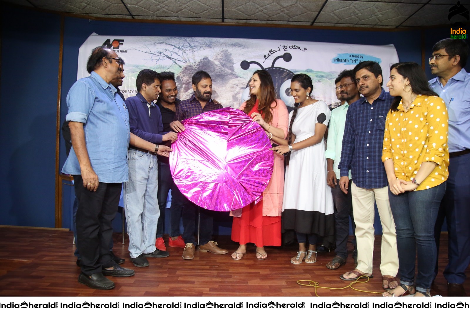 Cheema Prema Madhyalo Bhama Movie Audio launch Set 1