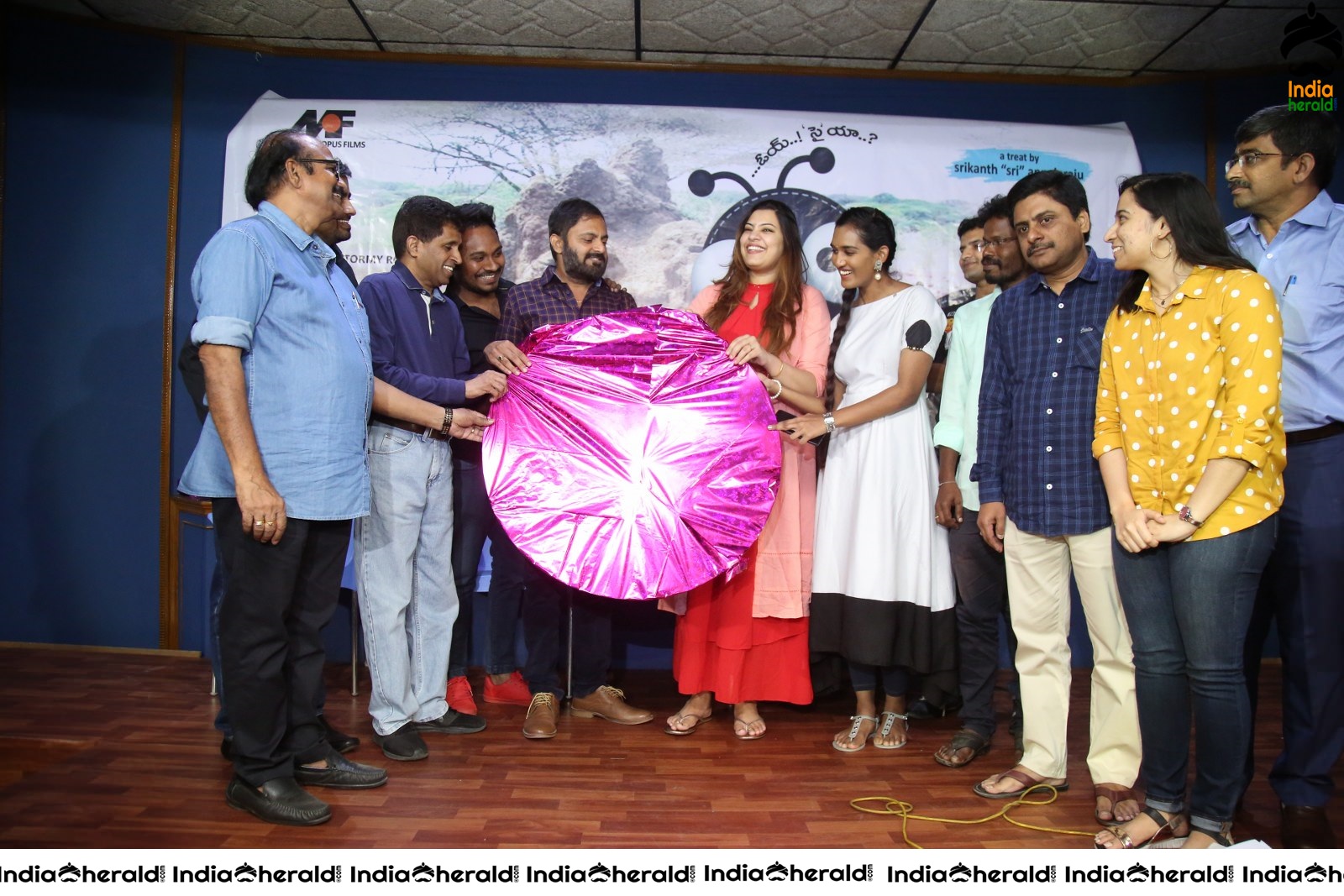 Cheema Prema Madhyalo Bhama Movie Audio launch Set 1