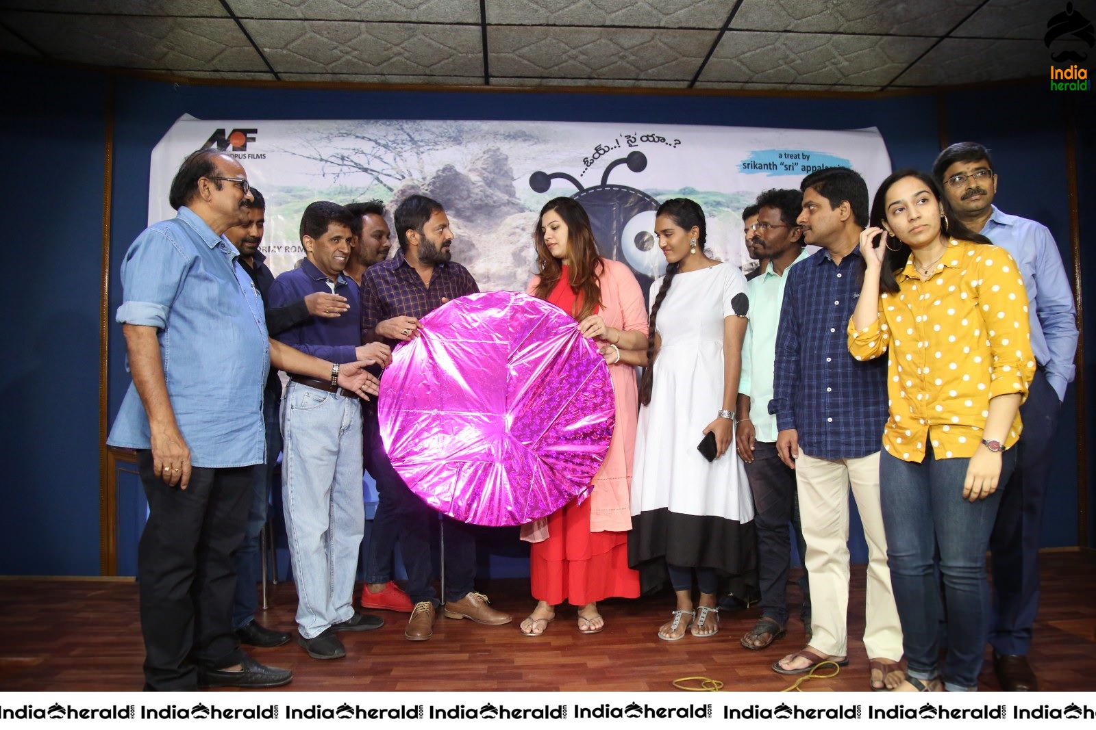 Cheema Prema Madhyalo Bhama Movie Audio launch Set 1