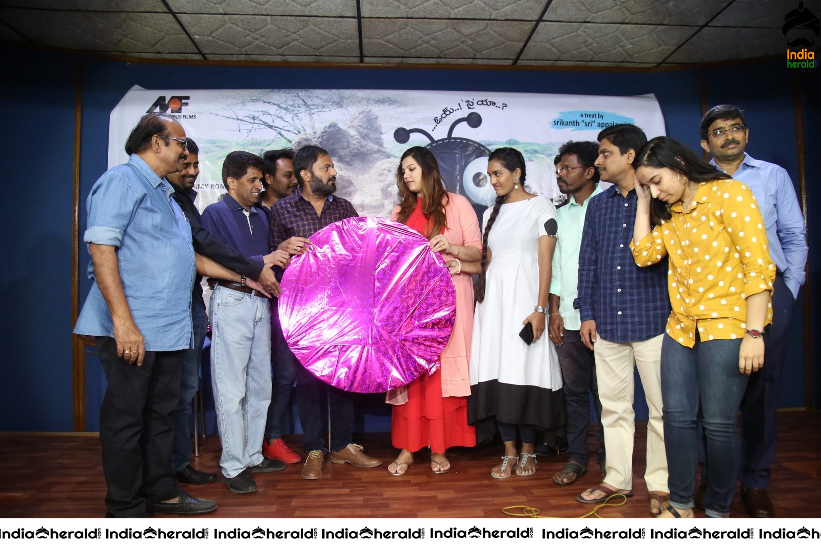 Cheema Prema Madhyalo Bhama Movie Audio launch Set 1