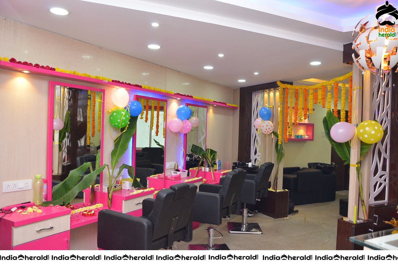 Chota K Naidu Launched Pinks n bloos Beauty Salon and Spa Set 1