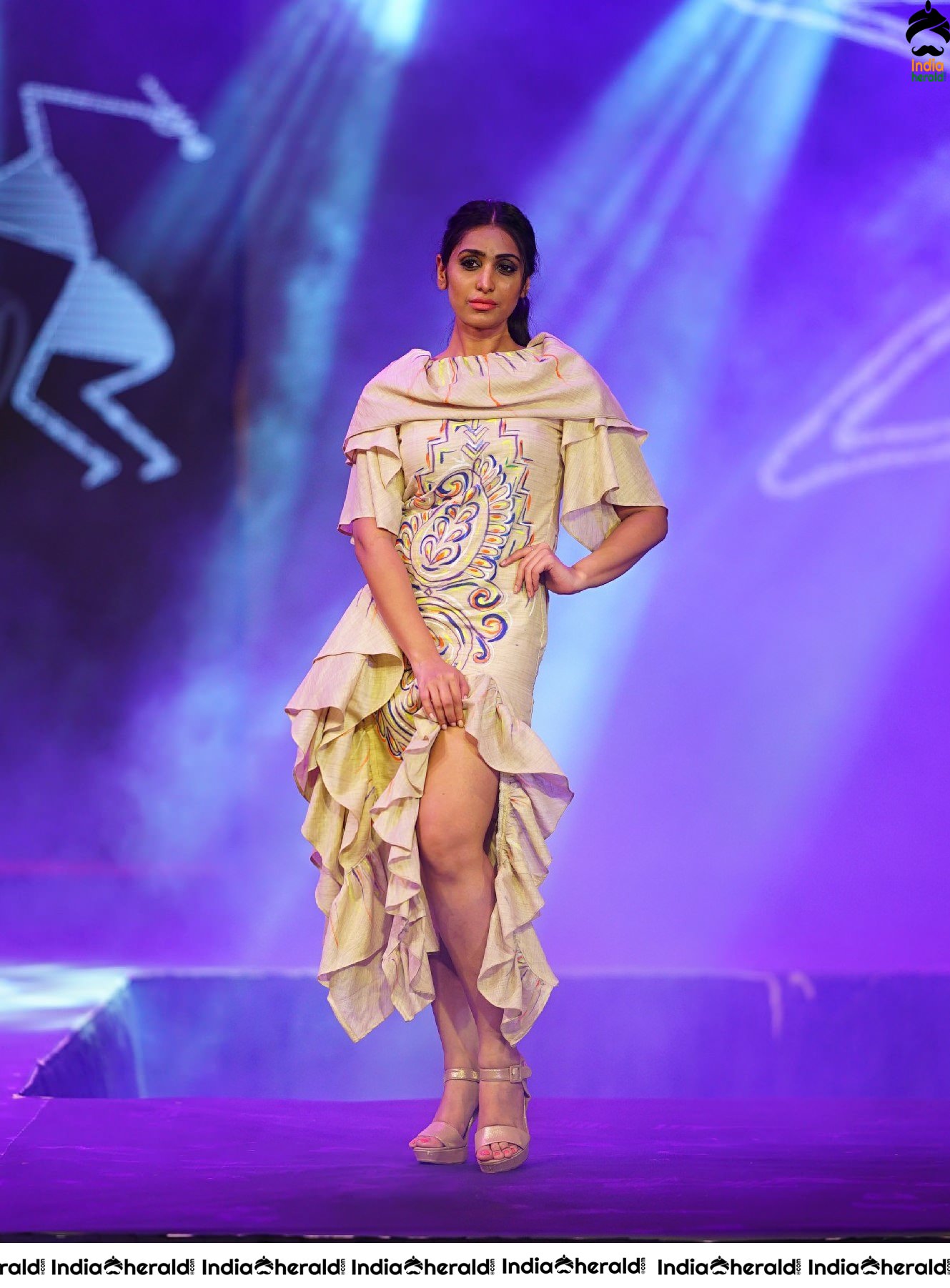 Fashion Fiesta Photos at Walk for a Cause held in Taj Deccan Set 1