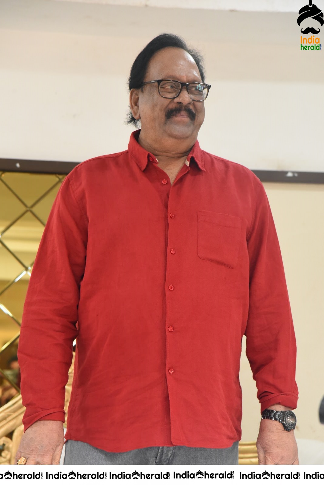 KrishnamRaju Birthday Celebrations Set 1