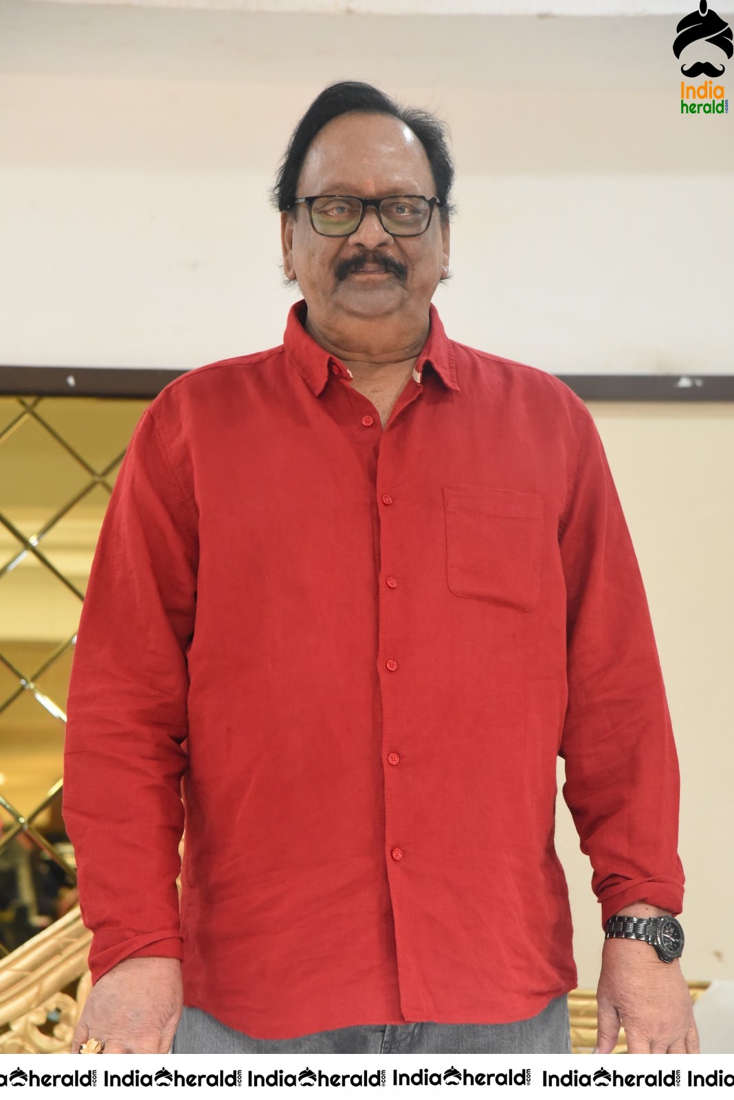 KrishnamRaju Birthday Celebrations Set 1