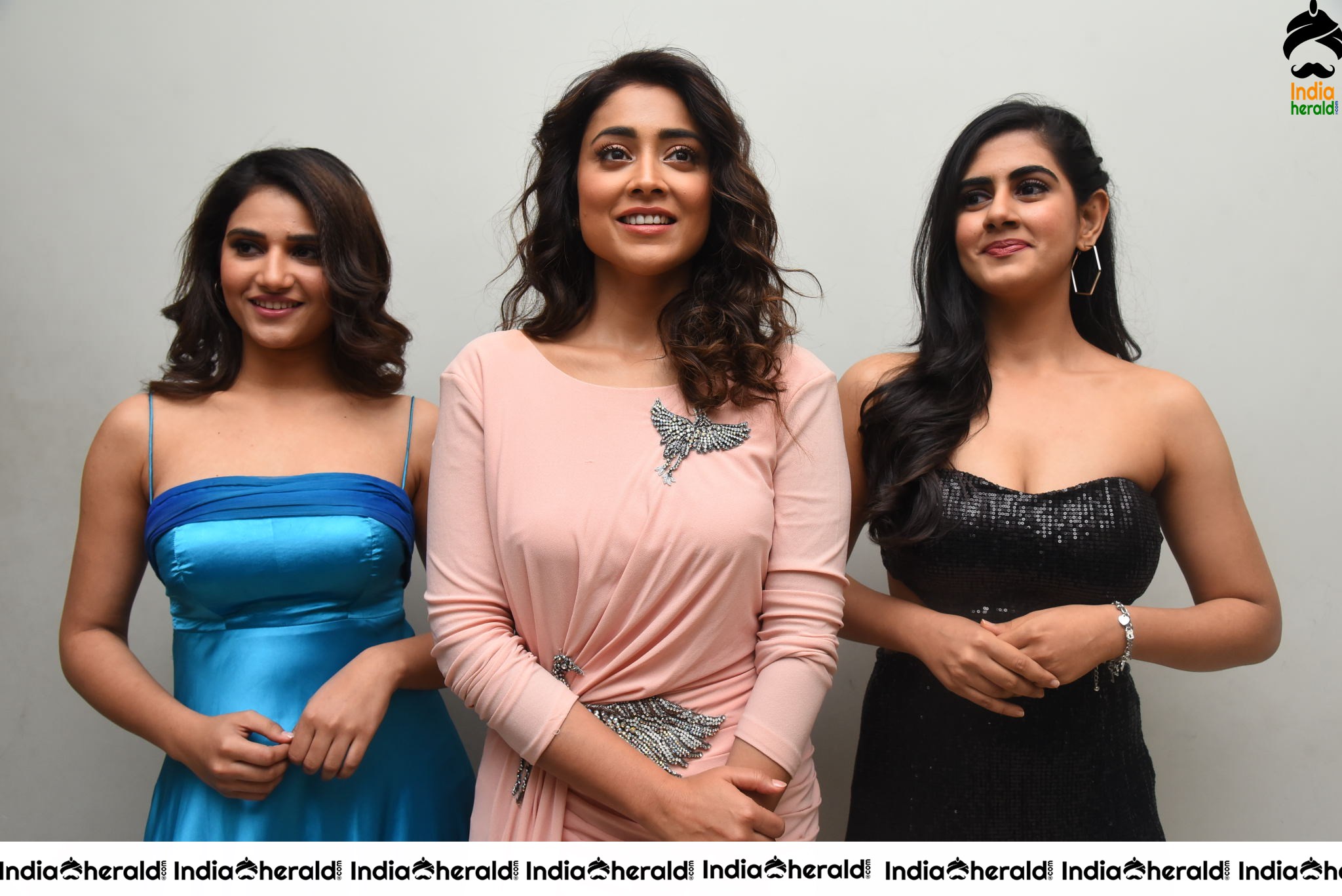 My South Diva 2020 Calendar launch Set 1