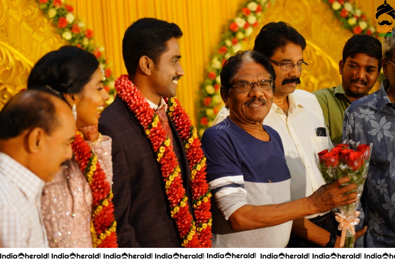 Nakshathra and Sathyanandan Wedding Photos Set 1