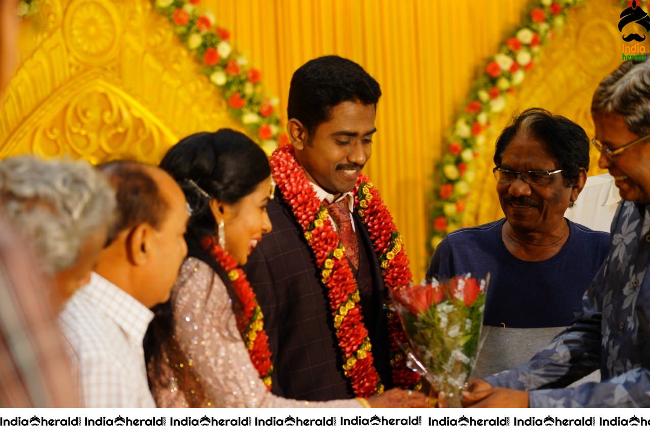 Nakshathra and Sathyanandan Wedding Photos Set 3