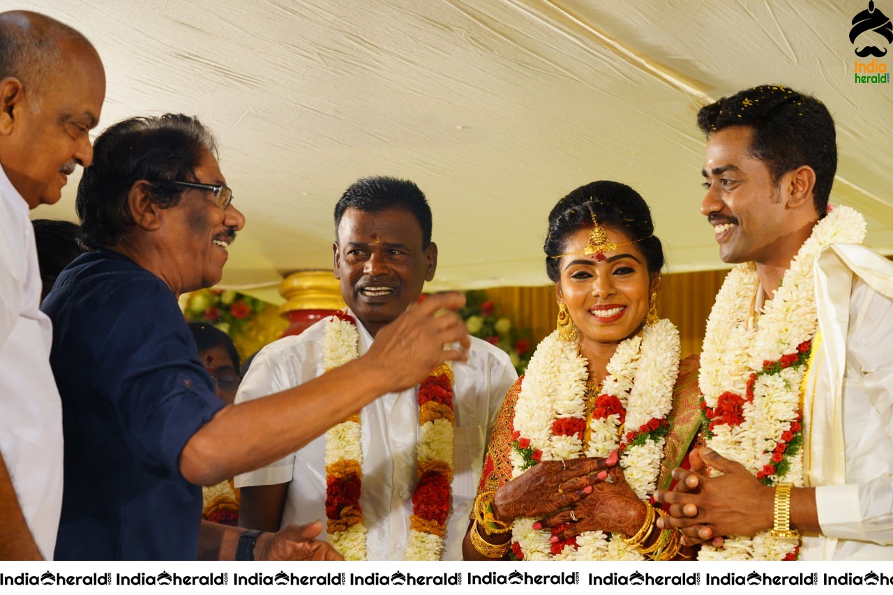 a sample image