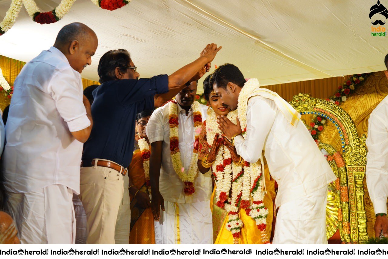 Nakshathra and Sathyanandan Wedding Photos Set 5