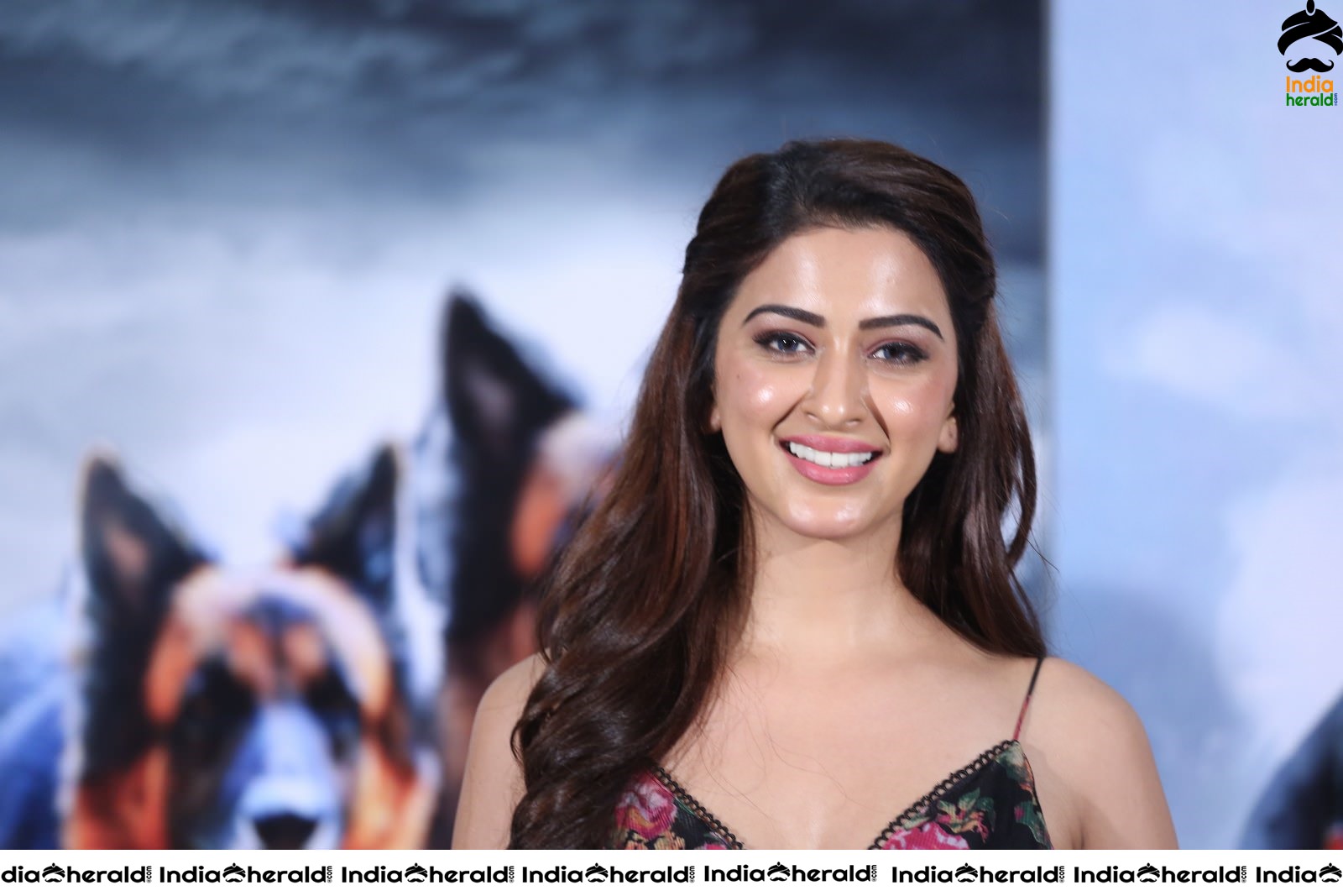 Namaste Nesthamaa Movie Press Meet Set 1