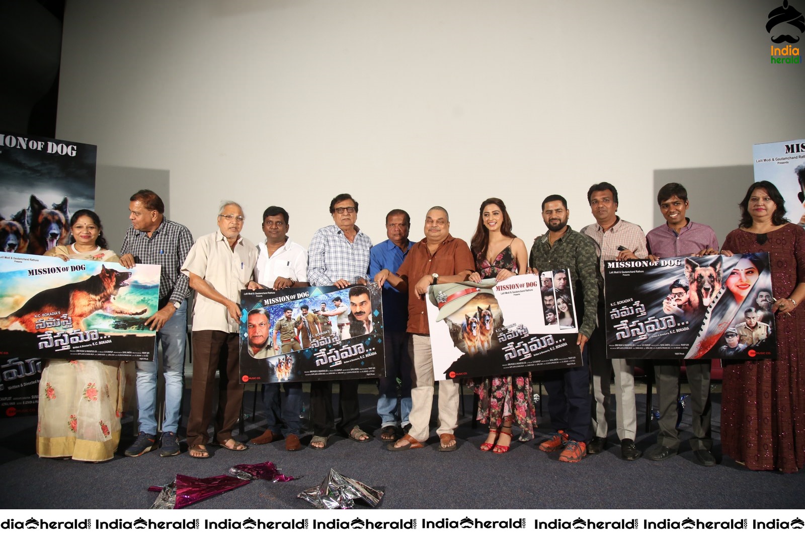 Namaste Nesthamaa Movie Press Meet Set 4