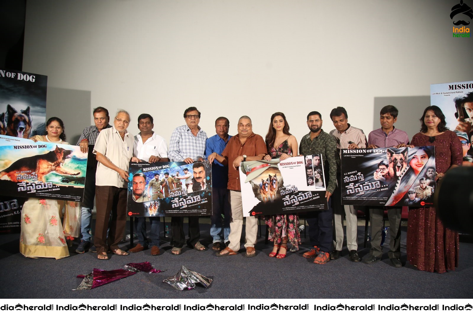 Namaste Nesthamaa Movie Press Meet Set 4