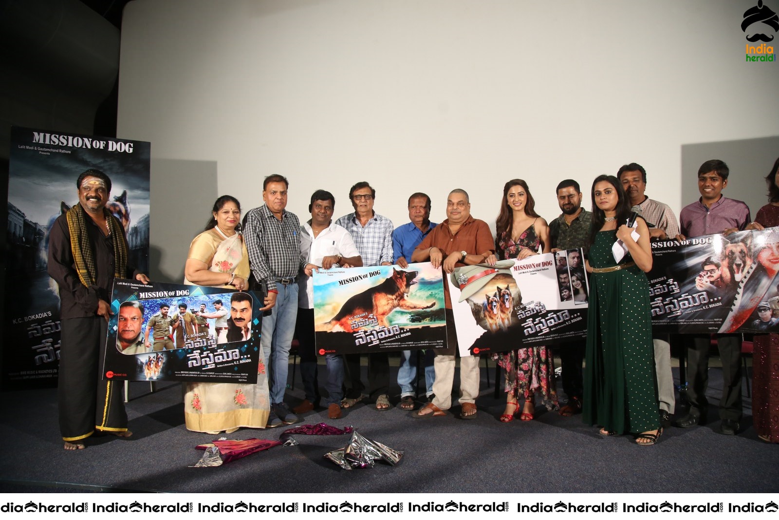 Namaste Nesthamaa Movie Press Meet Set 4