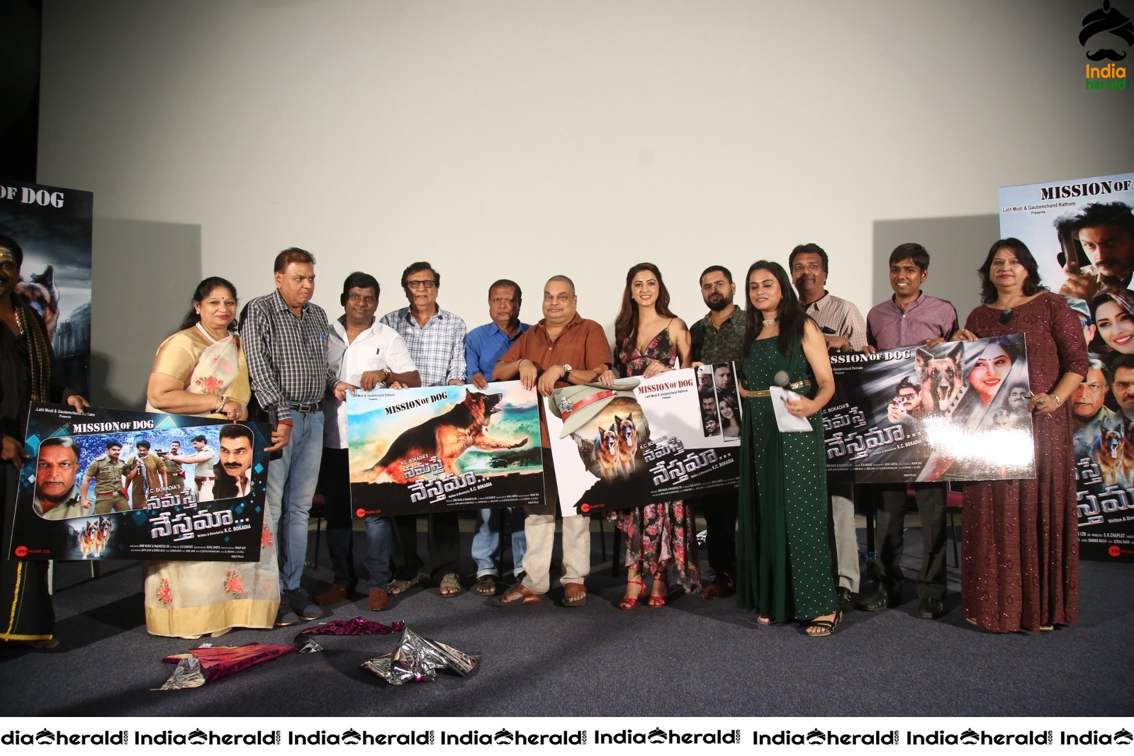 Namaste Nesthamaa Movie Press Meet Set 4