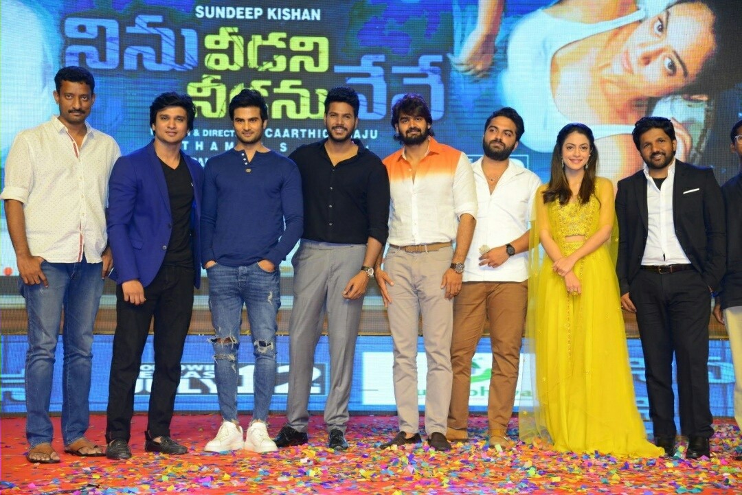 Ninu Veedani Needanu Nene Pre Release Event Stills