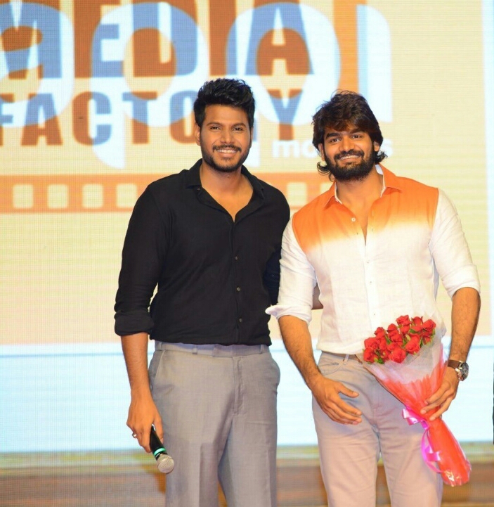 Ninu Veedani Needanu Nene Pre Release Event Stills