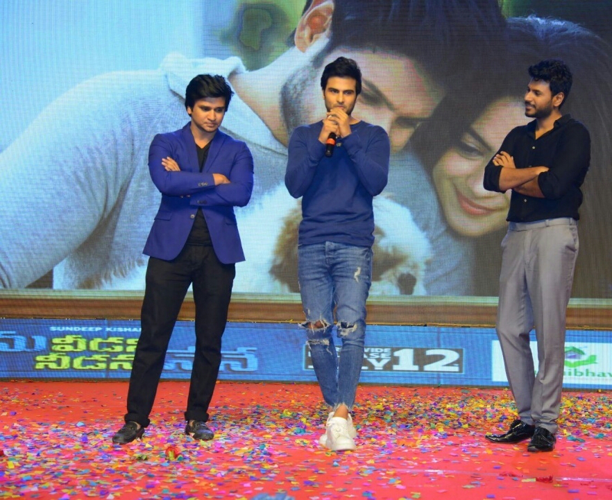Ninu Veedani Needanu Nene Pre Release Event Stills
