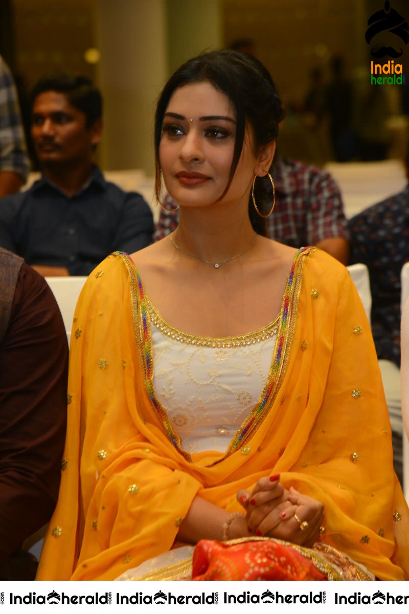 Payal Rajput at Disco Raja Success Meet event Set 1