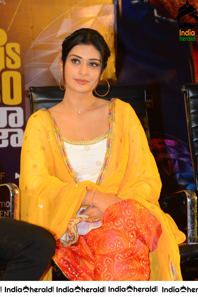 Payal Rajput at Disco Raja Success Meet event Set 2