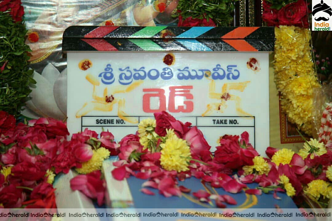 Ram RED Movie Muhurat Pooja Stills