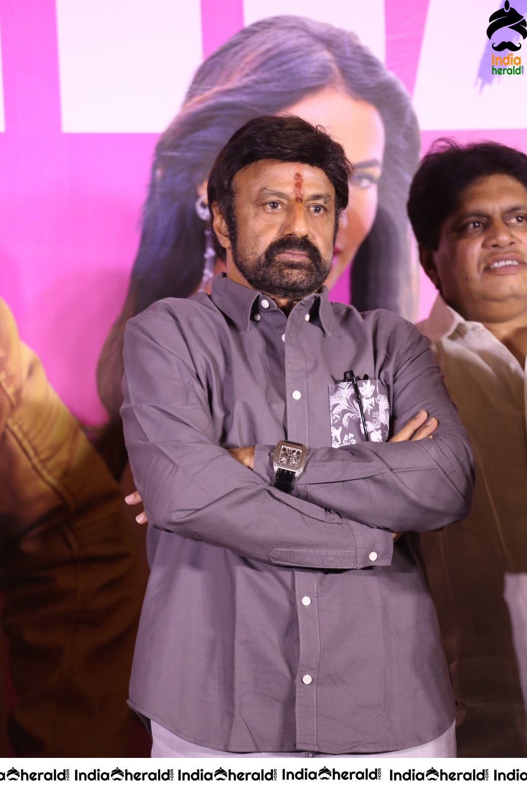 Ruler Movie Success Meet Stills Set 2