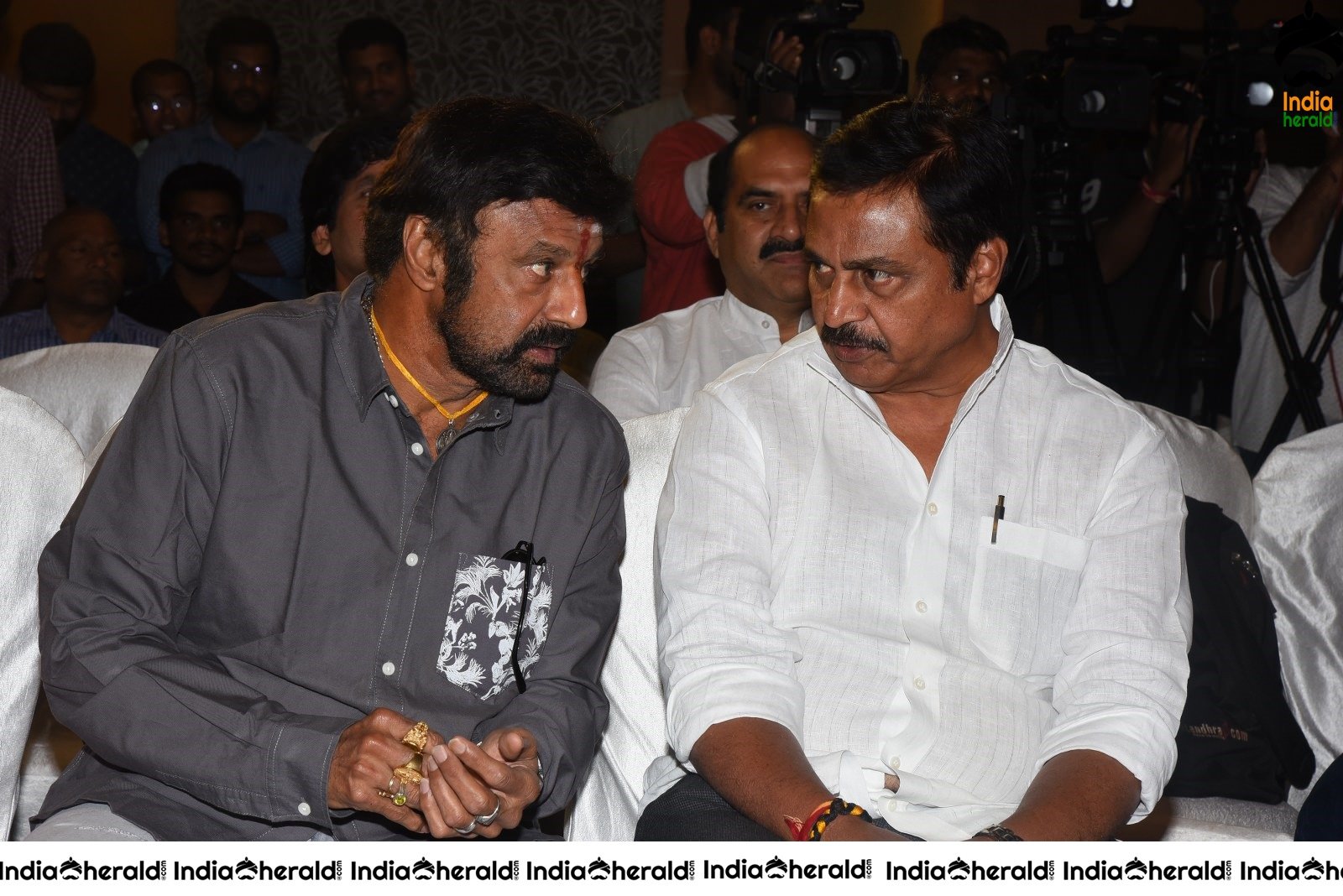 Ruler Movie Success Meet Stills Set 4