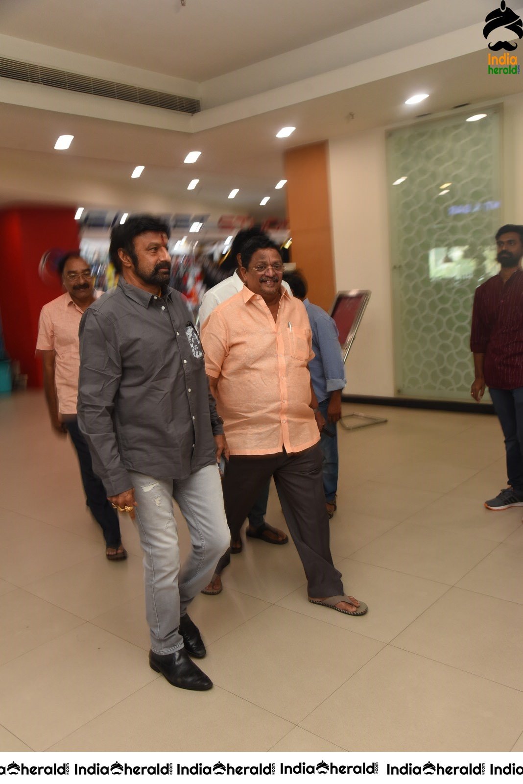 Ruler Movie Success Meet Stills Set 4